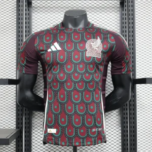 Mexico 2024 Home Kit