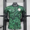 Nigeria 2024 Home Kit