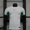 Nigeria 2024 Away Kit