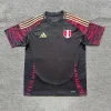 Peru 2024 Away Kit