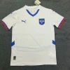 Serbia 2024 Away Kit