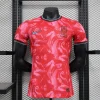 South Korea 2024 Home Kit