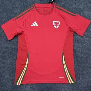 Wales 2024 Home Kit