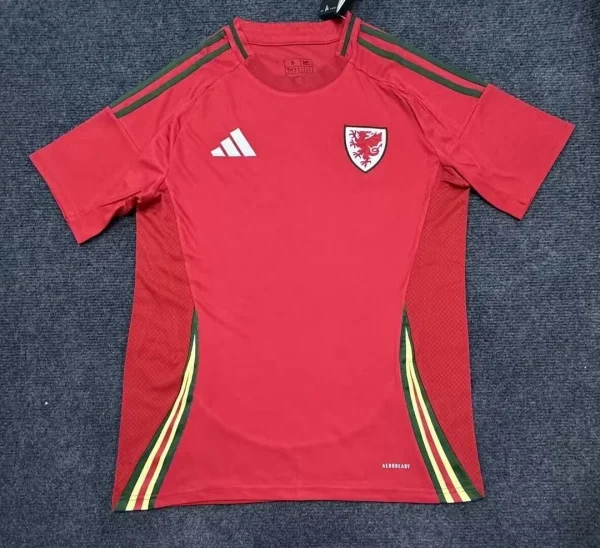 Wales 2024 Home Kit