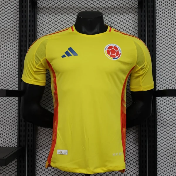 Brazil 2024 Home Kit