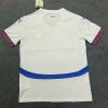 Serbia 2024 Away Kit