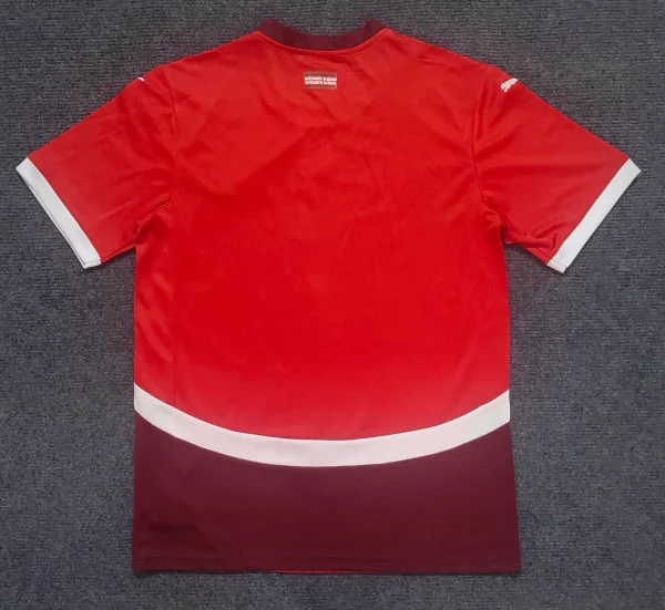 Switzerland 2024 Home Kit