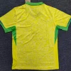 Brazil 2024 Home Kit