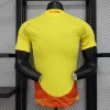 Brazil 2024 Home Kit