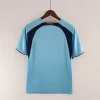 Retro Tottenham 2006-07 Away Kit