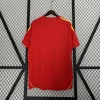 Retro Spain 2008-09 Home Kit