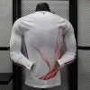 Japan 2024-25 Y3 Away Kit