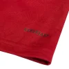 Bayern 125th Anniversary Red Kit