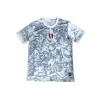 Italy Art of Victory Special Kit Fans Version